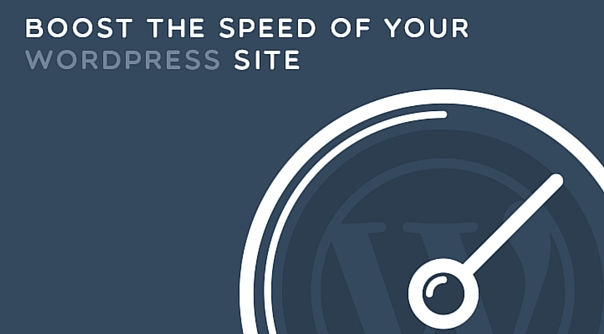Improve the Speed of Your WordPress Site