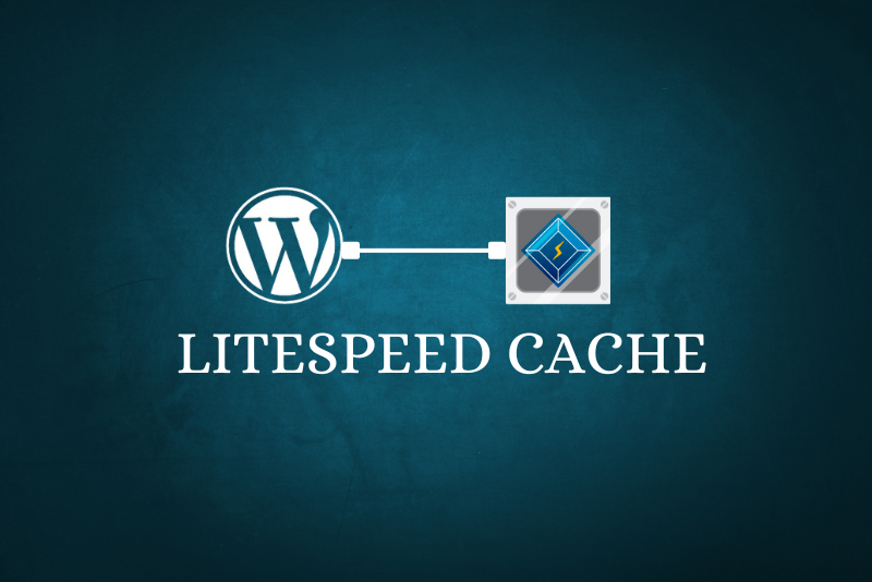 LIGHTSPEED CACHE